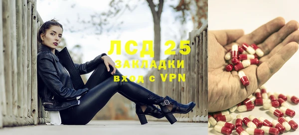 гашик Алзамай